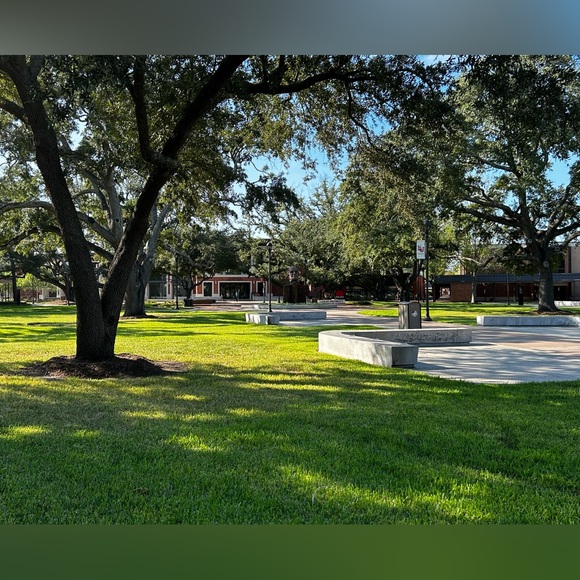 LIKE THIS TO BE NOTIFIED WHEN I AM LIVE!! - Picture 5 of 9